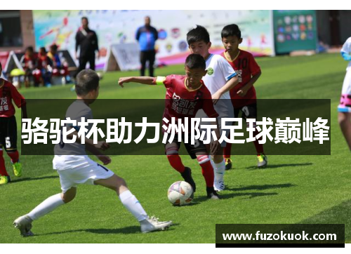 骆驼杯助力洲际足球巅峰